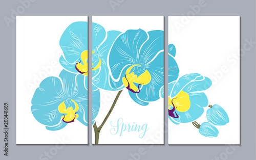A set of 3 canvases for wall decoration in the living room  office  bedroom  kitchen  office. Home decor of the walls. Floral background with flowers of orchid. Element for design. 