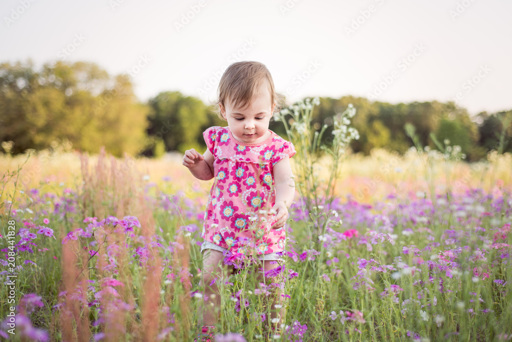 Little girl with dark blond hair in a purple flower field during the evening golden light in the summer Little girl with dark blond hair in a purple flower field during the evening golden light in the summer