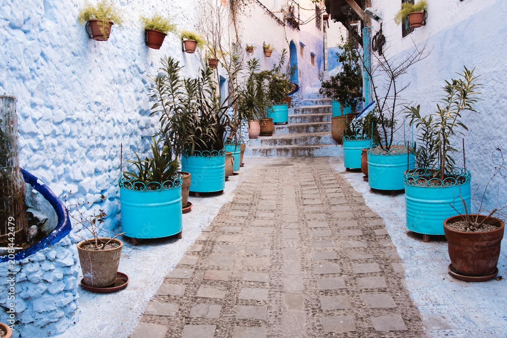 Obraz Blue Alley with Flower Pots in Medina, Chefchaouen, Moroco