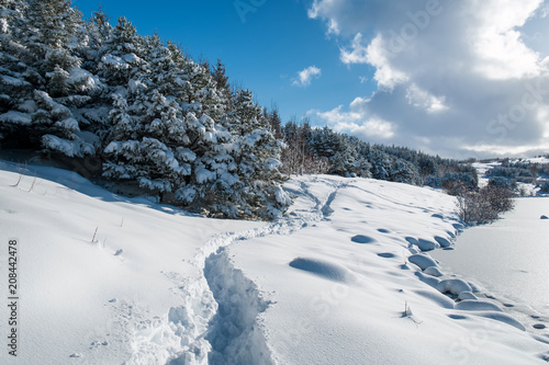 winter scene from iceland