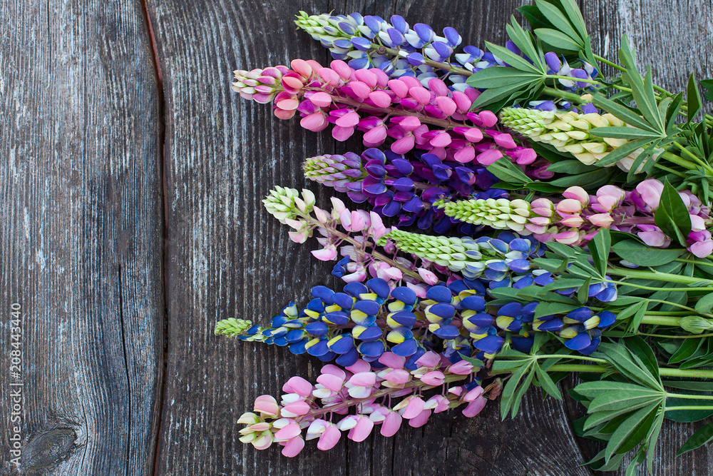 variety of lupin flowers on wooden surface variety of lupin flowers on wooden surface
