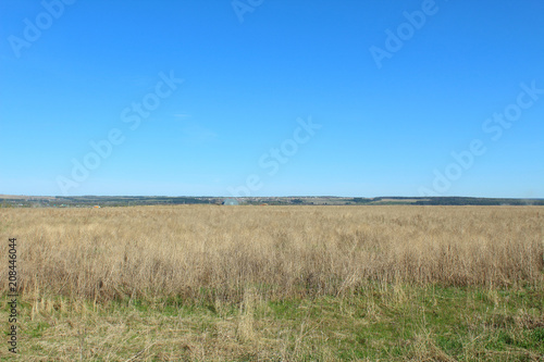 A large field with dry grass. The village is far away. Landscape. Background. May, 2018.