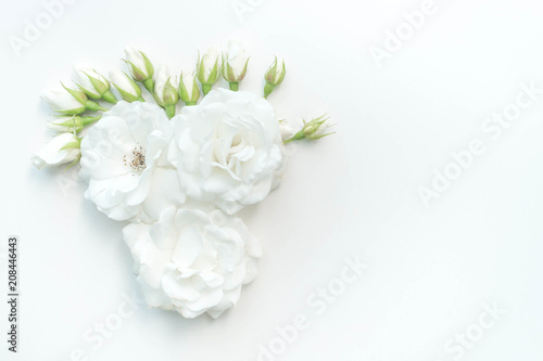 White Rose © andreymuravin