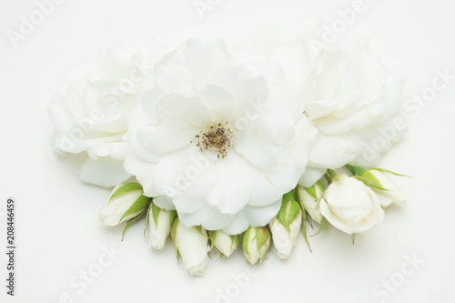 White Rose