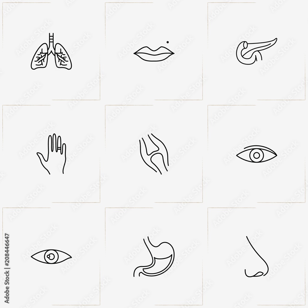 Human Anatomy line icon set with hand, eye and retina
