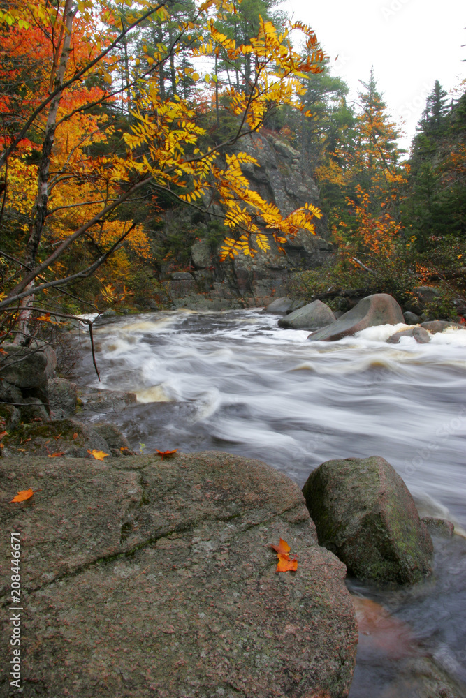 Mary Ann Falls Vertical