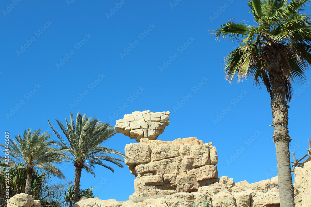 Beautiful view of the rocks and palm trees. Close-up. Landscape.