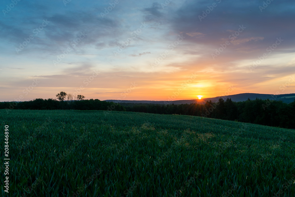 Sunrise over a field and forest, Westerwald, Germany