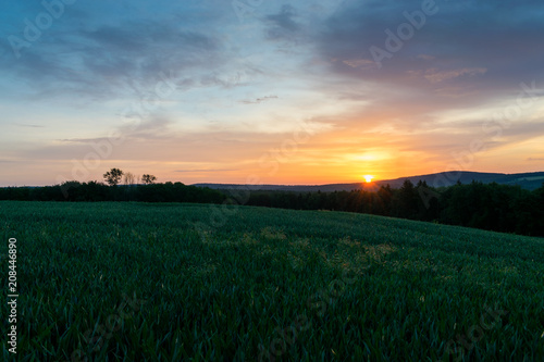 Sunrise over a field and forest  Westerwald  Germany