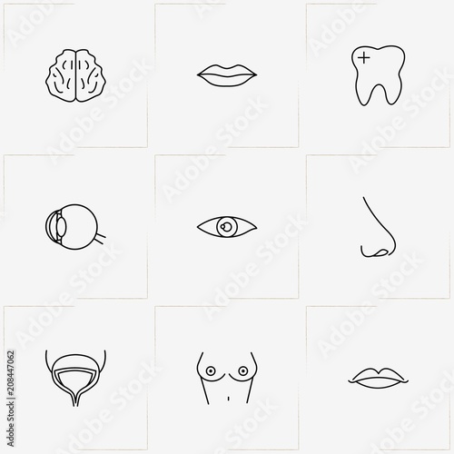 Human Anatomy line icon set with bladder, nose and brain