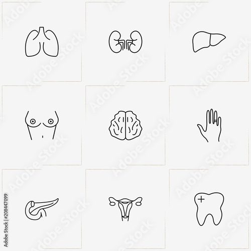 Human Anatomy line icon set with teeth root, pancreas and lungs
