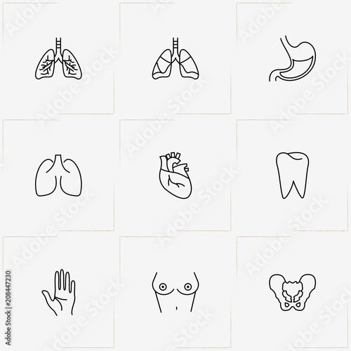 Human Anatomy line icon set with heart organ, teeth root and lungs