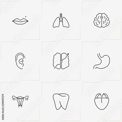 Human Anatomy line icon set with stomach , lips and ear