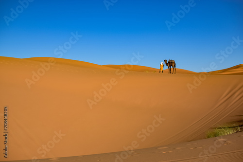 The Berber guides the dromedary toward the desert horizon. Photograph taken somewhere in the Sahara desert in Merzouga (Morocco) © kino1493