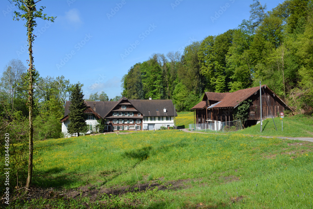 Fototapeta premium Binzmühle bei Rotkreuz, Kanton Zug