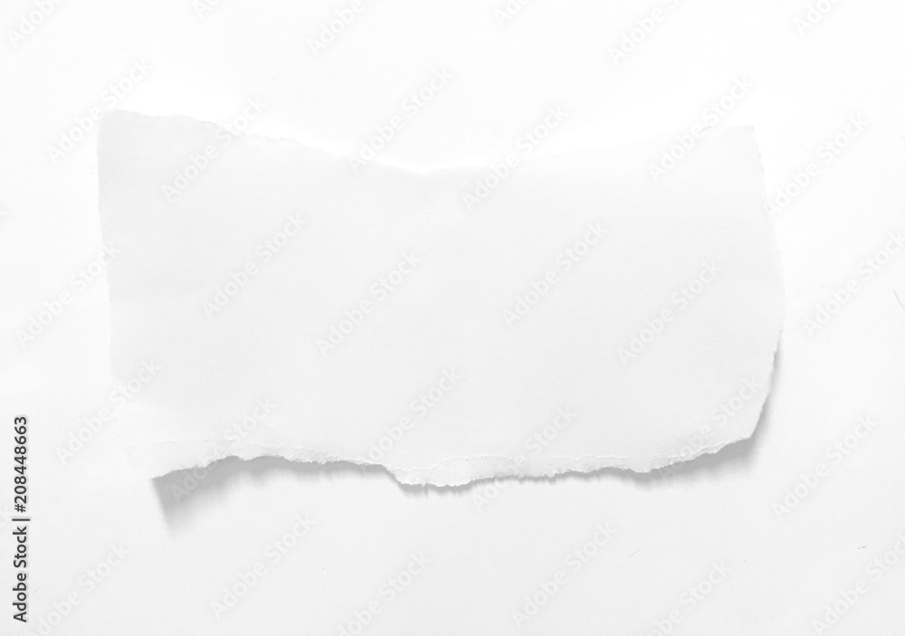 pieces of torn paper texture background, copy space. pieces of torn paper texture background, copy space.