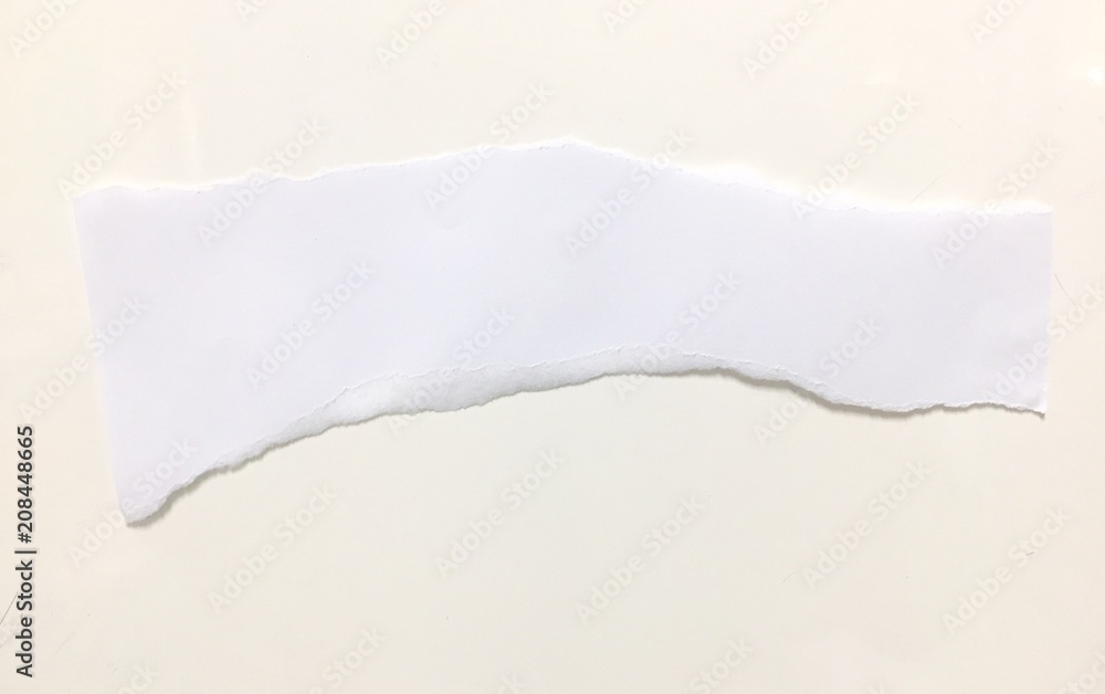 pieces of torn paper texture background, copy space. pieces of torn paper texture background, copy space.