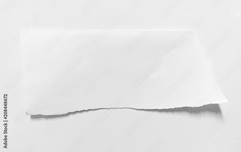 Obraz premium pieces of torn paper texture background, copy space.