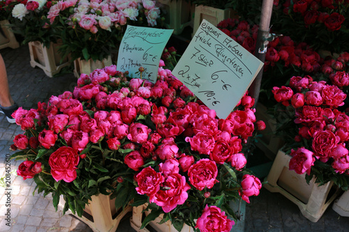 Peonies