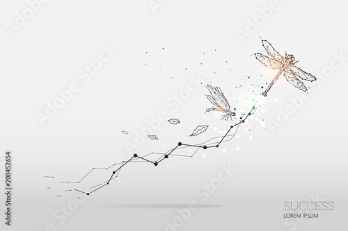 The particles, geometric art, line and dot of dragonfly
