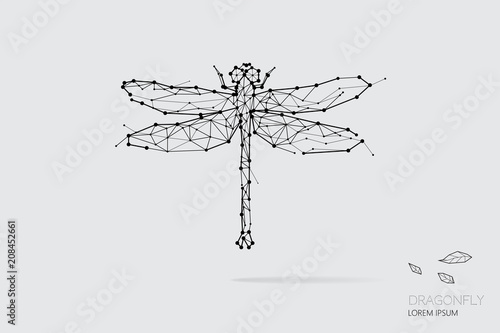 The particles, geometric art, line and dot of dragonfly