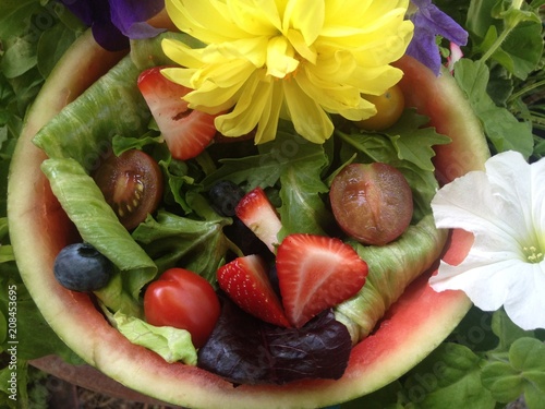 Watermelon Bowl