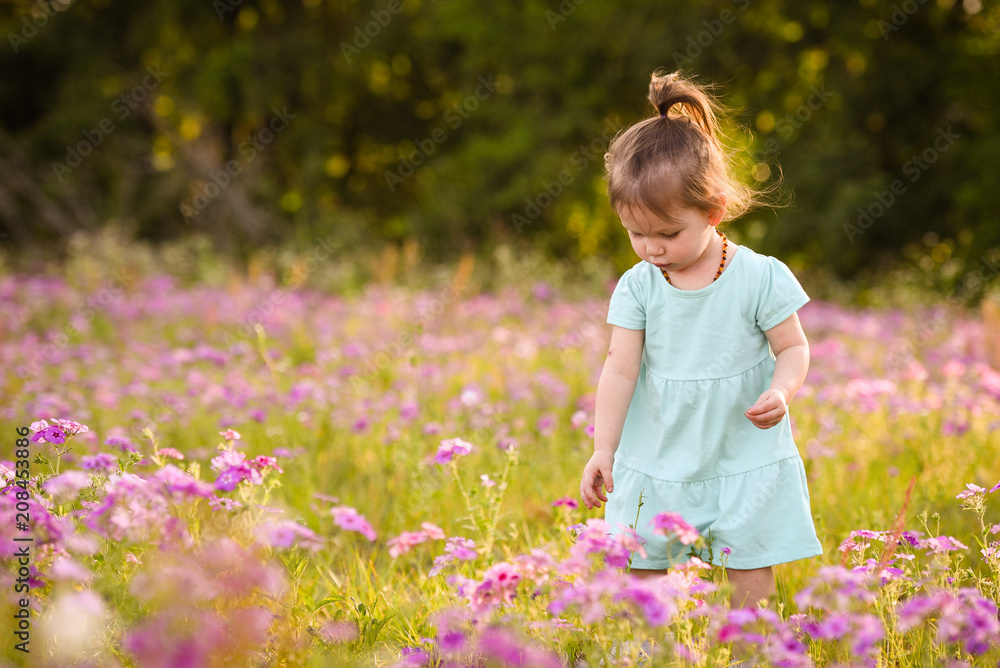 Little girl with dark blond hair in a purple flower field during the evening golden light in the summer