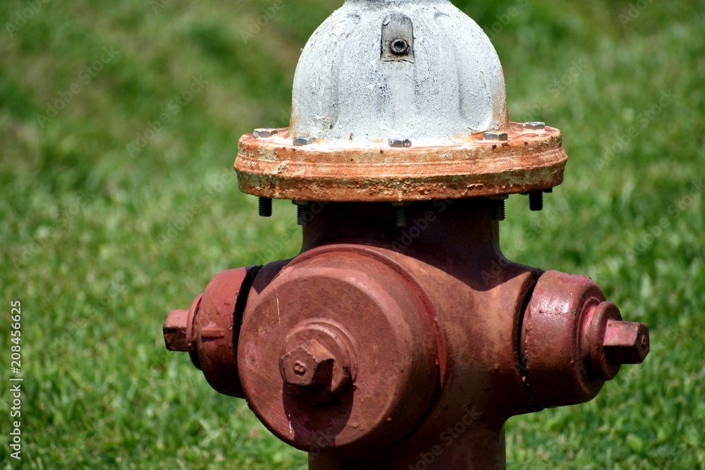 Red fire hydrant with white cap and some rust Red fire hydrant with white cap and some rust