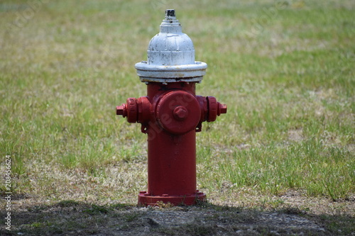 Red fire hydrant with white cap and some rust