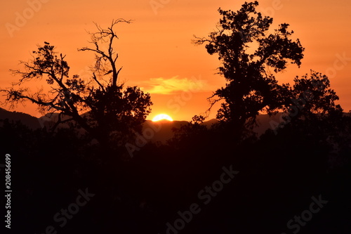 Californischer Sonnenuntergang Sunset