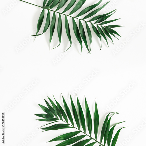 Tropical palm leaves on white background. Summer concept. Flat lay, top view, copy space, square