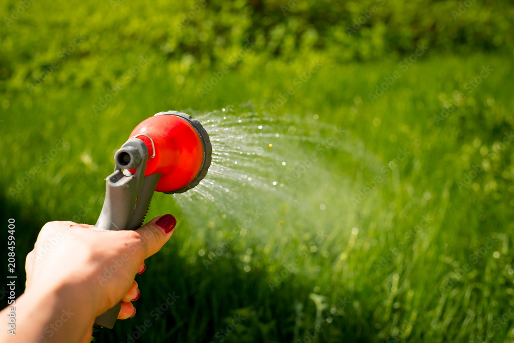 Woman's hand with garden hose watering plants, gardening concept. Hand garden  hose with water spray, watering flowers, close-up, water splashes, fresh  green lawn. Copy space Stock-Foto | Adobe Stock