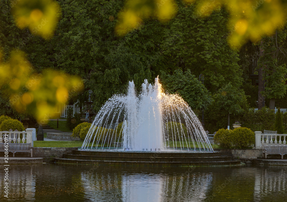 Fototapeta premium Fountain in the summer Park on the lake