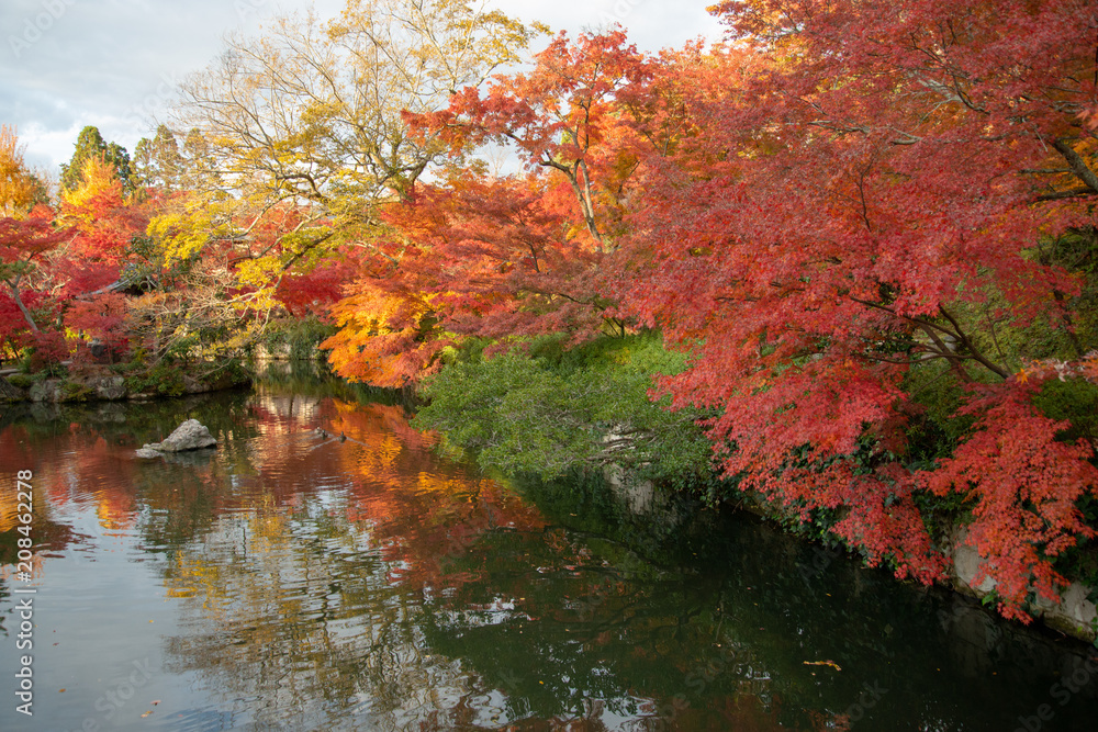京都 永観堂の紅葉 京都 永観堂の紅葉