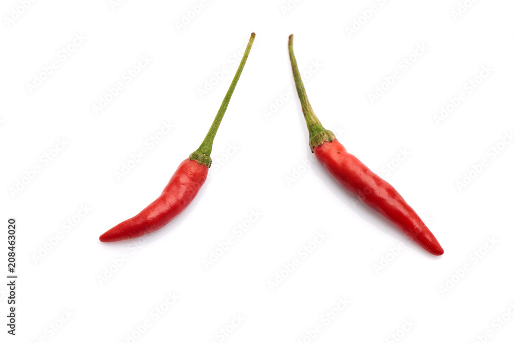 Two red chili peppers  on the white