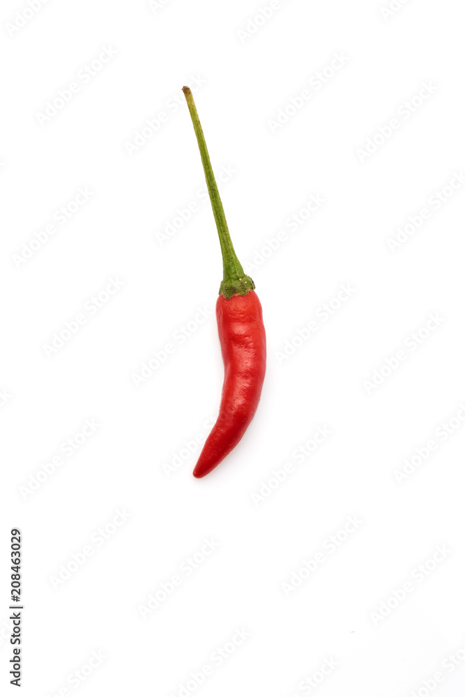 Chilli isolated on white Chilli isolated on white