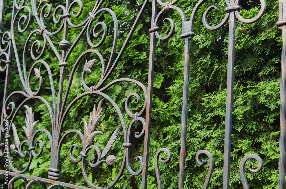 Decorative elements of a metal forged fence Decorative elements of a metal forged fence