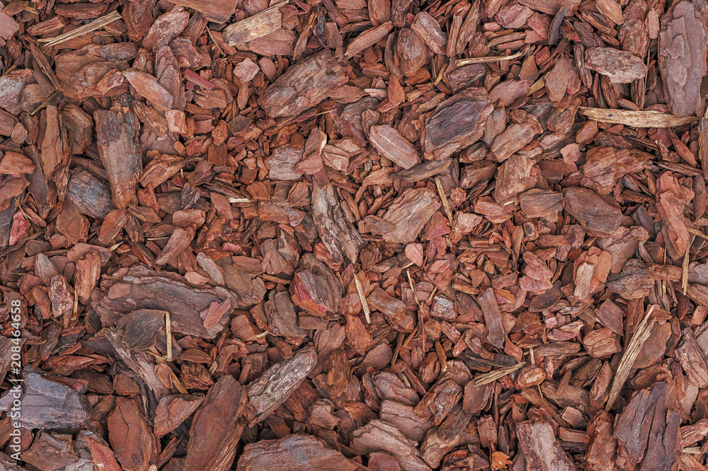 Pine Mulch, background, texture