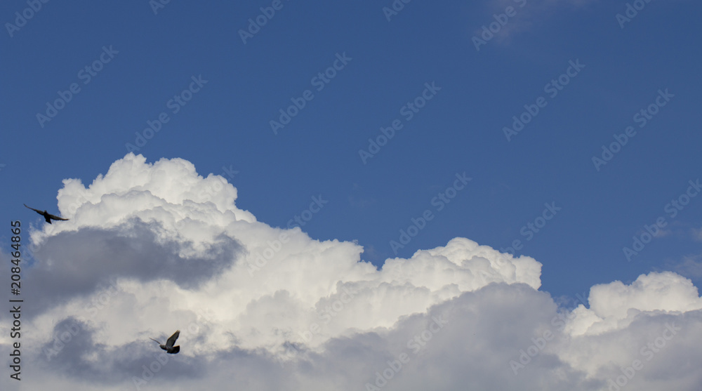 White cloud on a clear blue sky