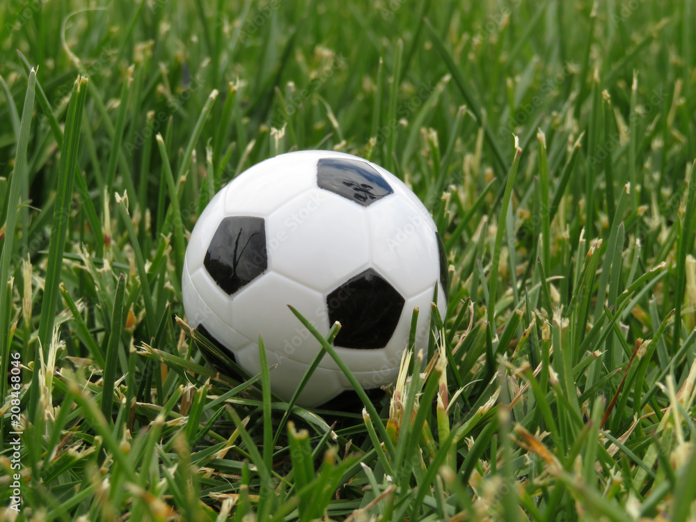 Soccer ball on the green grass. Football arena, summer match Soccer ball on the green grass. Football arena, summer match