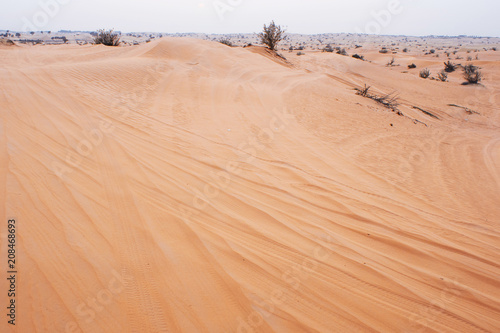 Desert landscape to the horizon  sand and a rare Bush  haze.