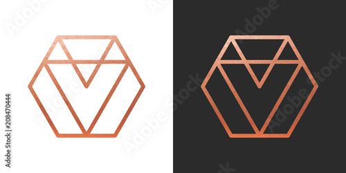 Copper geometric hexagon Logo Shape. Vector Icon.