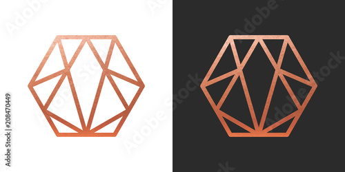 Copper geometric hexagon Logo Shape. Vector Icon.