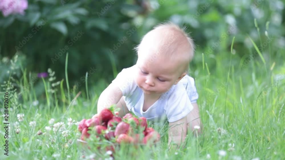 Cute toddler child boy, eating strawberries in a garden, springtime Cute toddler child boy, eating strawberries in a garden, springtime