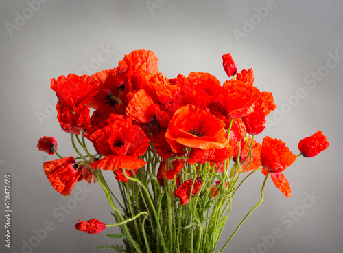 Fototapeta Naklejka Na Ścianę i Meble -  Bouquet of poppy flowers