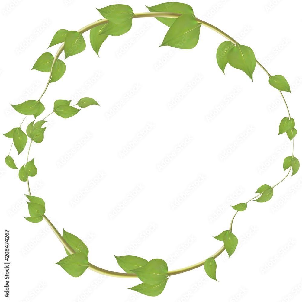 Round frame of branches with leaves Vector eps10.