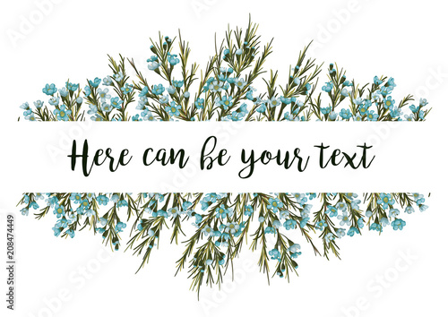 Horizontal botanical vector design banner or wedding invitation. blue wax flowers (Chamaelaucium) isolated on white background
