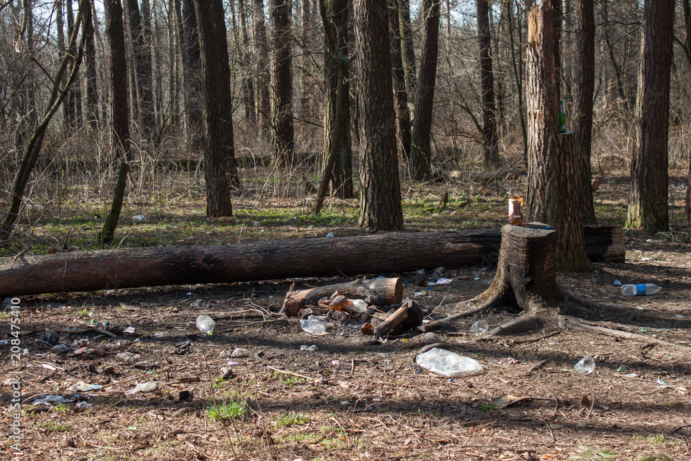 Garbage pollution in the forest Garbage pollution in the forest
