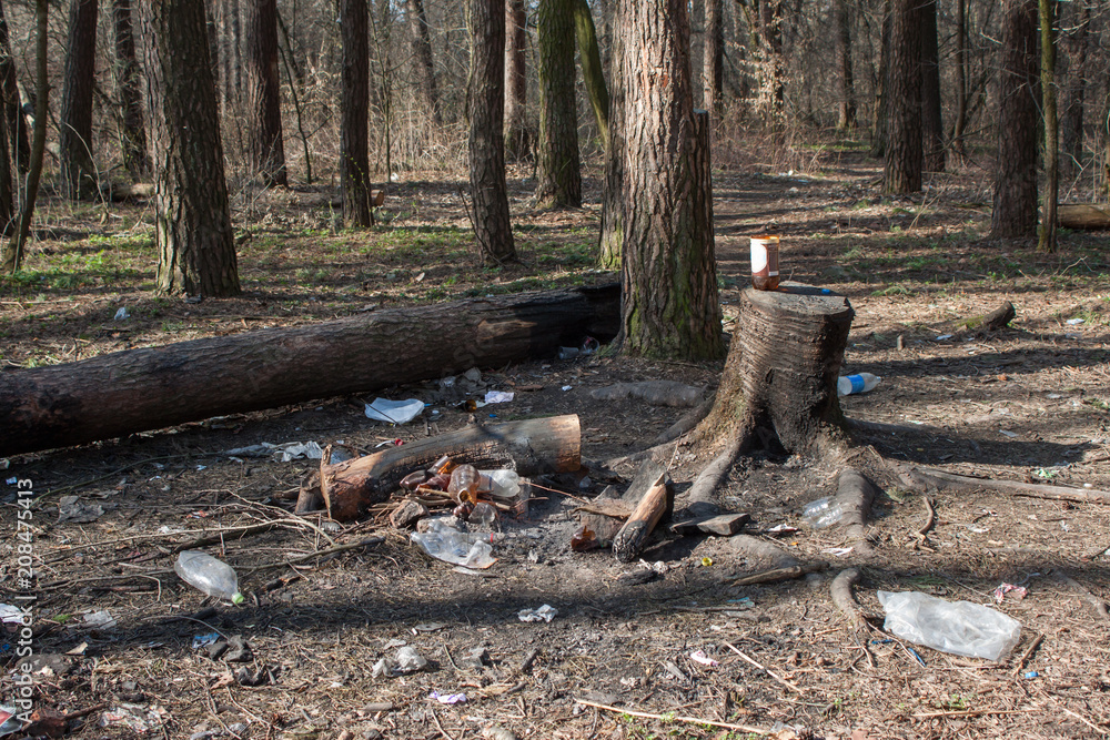 Garbage pollution in the forest Garbage pollution in the forest