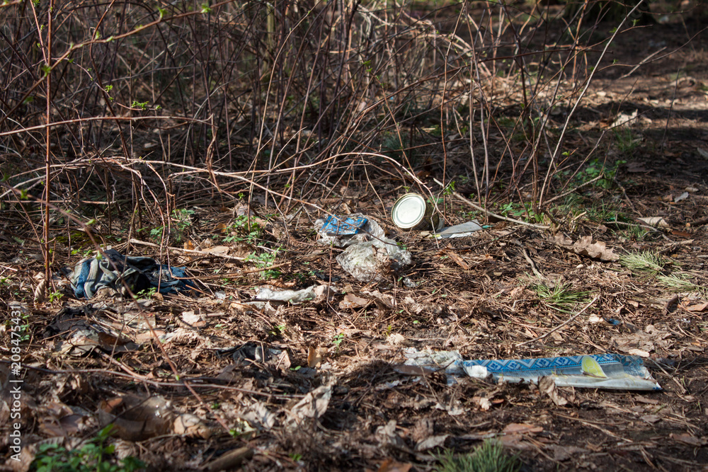 Garbage pollution in the forest Garbage pollution in the forest